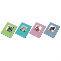 Gumis mappa BLASETTI A/4 Cuccioli  4173