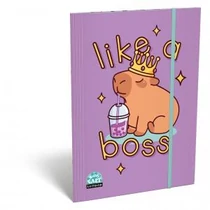 Gumis mappa LIZZY A/4 Lollipop Capybara