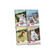 Füzet A5/16-32 2. osztályos vonalas Animal Hero