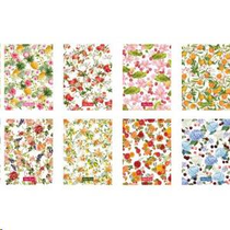 Füzet BLASETTI A/4 80g 42lap kemény fedeles Petits Fruits  kockás (10db/csg)  6737