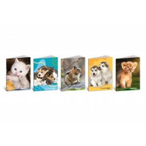 Füzet BLASETTI PET COLOR A/5 80g 42l kockás