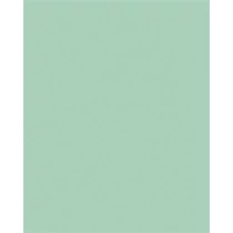 Dekorkarton, 2 oldalas, 50x70cm, 220 g, 10 lap, FOLIA, menta