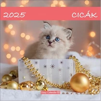 Falinaptár lemez nagy 2025 Cicák