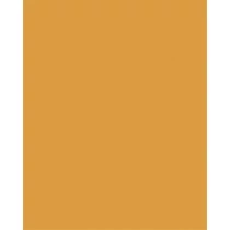 Dekorkarton, 2 oldalas, 50x70cm, 220 g, 10 lap, FOLIA, okkersárga