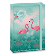 Füzetbox ARS UNA A/4 FC Pink Flamingo 868 (19)