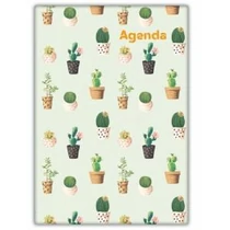 Napi agenda A/5 2026 COLORS Cactus