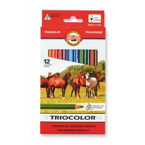 KOH-I-NOOR 3142 SZÍNES CERUZA/12 MEDVE VASTAG TRIOCOLOR 9MM