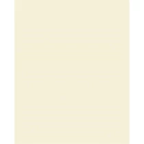 Színes papír, A4, 130 g, 100 lap, FOLIA, bézs