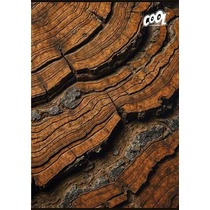 Füzet, tűzött, A4, kockás, 80 lap, COOL BY VICTORIA "Wood & Rock"