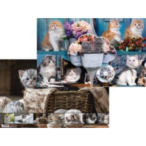 Asztali könyöklő T-Creativ 545 x 340 mm, Cats