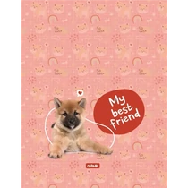 Tornazsák, BEST FRIEND dizájnnal, Nebulo