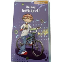 Képeslap 7 ARGUS 17-6033 Névnap fiús lila alapon bicajos fiú