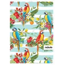 Füzet, A4, spirálozott, vonalas, 70 lapos, L-design minták, Nebulo