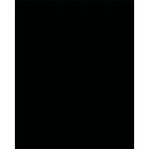 Dekorkarton, 2 oldalas, 50x70cm, 220 g, 10 lap, FOLIA, fekete
