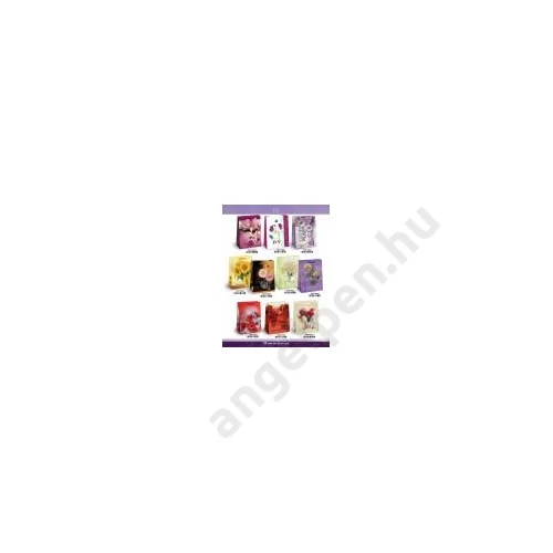 Dísztasak ARGUS (23x32) T5 vegyes  0756, 0757