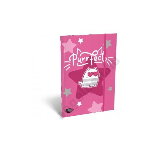 Gumis mappa LIZZY A/5 Kit Kot Stars Purrfect
