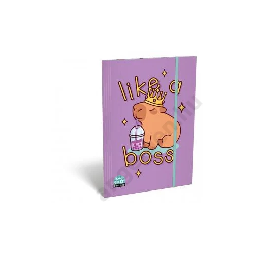 Gumis mappa LIZZY A/4 Lollipop Capybara
