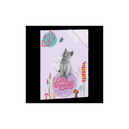 Gumis mappa ARS UNA A/4 Cute Animals-Kitten 5368 (24)