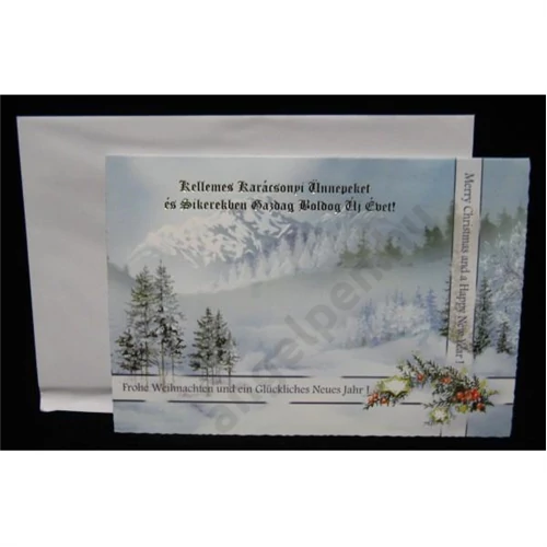 Képeslap DREAM LC/6 borítékos karácsonyi