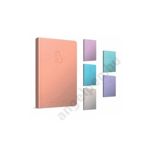 Beíró GIPTA Charm Notes 8x12cm keményfedeles 80 lapos vonalas 7173