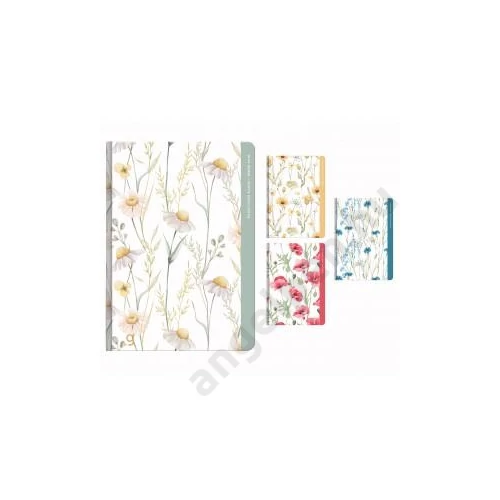 Beíró jegyzet GIPTA Win Book 13x21cm keményfedeles 96 lapos vonalas 7014