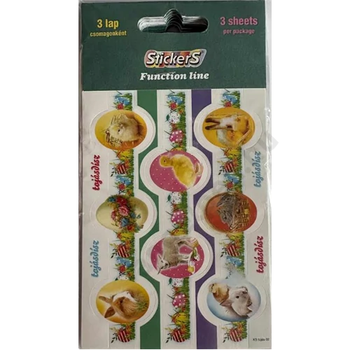 Function matrica  tojásos 3 lap/cs Zátonyi
