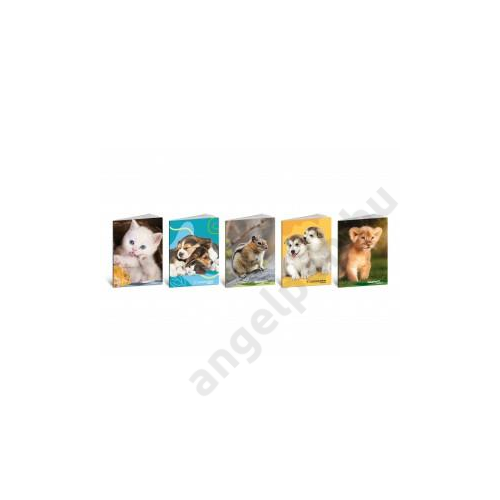 Füzet BLASETTI PET COLOR A/5 80g 42l kockás