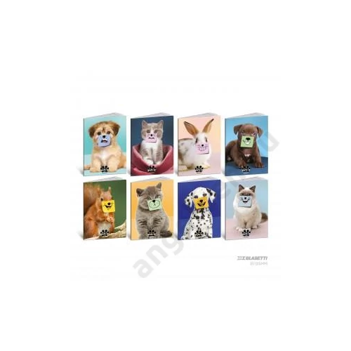 Füzet BLASETTI A/4 80g kockás 42lap PETS-IT 2025 /10 db/csg/ 8928