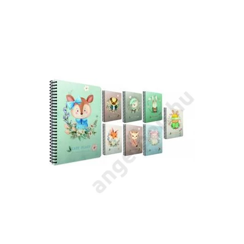 Spirálfüzet GIPTA Easy Notes 17x24 cm karton borítással 120 lapos kockás 4744