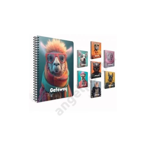 Spirálfüzet GIPTA Gateway A/4 PP borítással 100 lapos kockás 7194