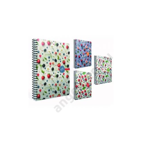 Spirálfüzet GIPTA Berry Notes 17x24cm keményfedeles 120 lapos vonalas 7214