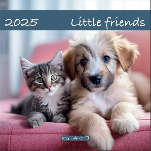 Falinaptár lemez nagy 2025 Little friends