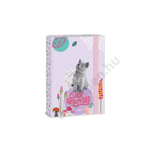 Füzetbox ARS UNA A/5 Cute Animals-Kitten 5368 (24)