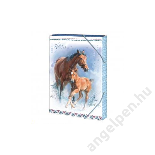 Füzetbox  ARGUS A/4  Wild horses 1231-0313