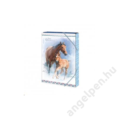 Füzetbox  ARGUS A/5 Wild horses 1241-0313