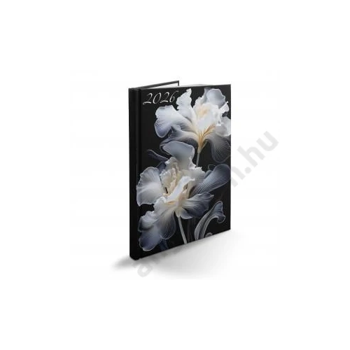 Heti agenda REALSYSTEM B/5 2026 PICTURE írisz 60