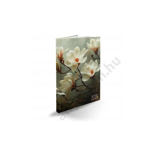 Heti agenda REALSYSTEM B/5 2026 PICTURE magnólia 62