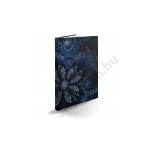 Heti agenda REALSYSTEM B/5 2026 PICTURE fraktál 65