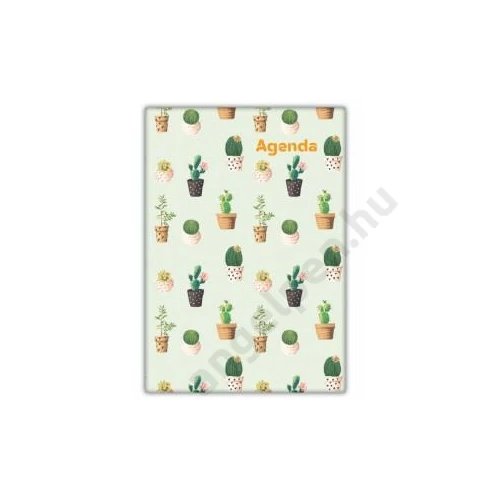 Napi agenda A/5 2026 COLORS Cactus