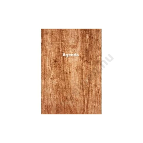 Napi agenda A/5 2026 COLORS Wood