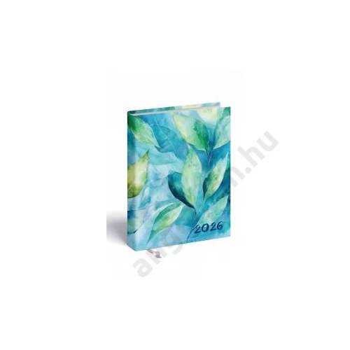 Agenda 2 napos REALSYSTEM B/6 2026 2-DAY akvarell 69