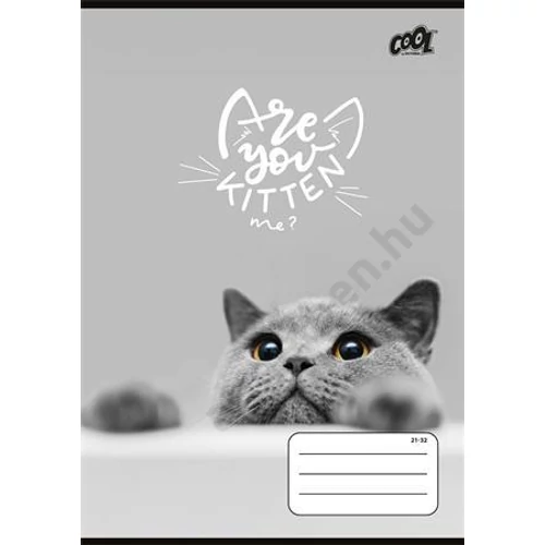 Füzet, tűzött, A5, vonalas, 32 lap, 4-8. osztály, COOL BY VICTORIA "Cats Forever", "21-32"