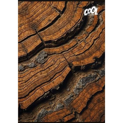 Füzet, tűzött, A4, kockás, 80 lap, COOL BY VICTORIA "Wood & Rock"
