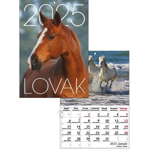 Falinaptár A/4 tűzött T-Calendar "Lovak" 2025