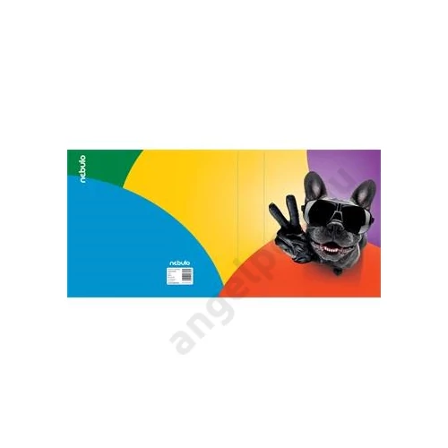 Füzetbox, A5, Cool Bulldog, Nebulo (6)