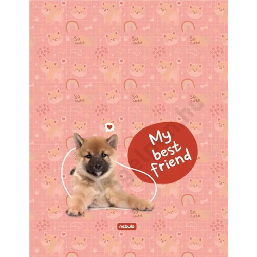 Tornazsák, BEST FRIEND dizájnnal, Nebulo