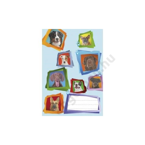 Gumis mappa POLMAK A/4 vicces állatok TA4_OG_851 10db/csg