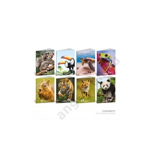 Füzet BLASETTI A/4 100g vonalas 50lap ANIMAL IDENTIKIT 2025 (10db/csg)  8910M megszűnt 