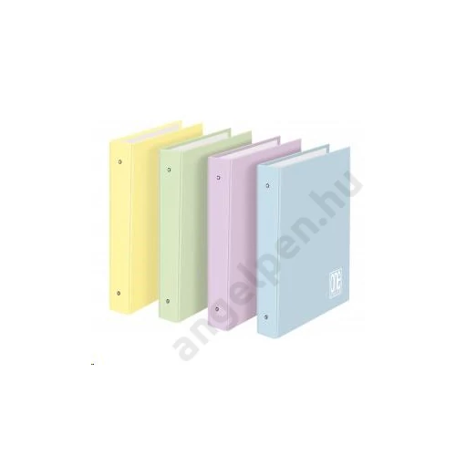 Gyűrűskönyv BLASETTI One Color A/4 Pastell  7191