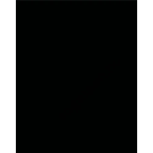 Dekorkarton, 2 oldalas, 50x70cm, 220 g, 10 lap, FOLIA, fekete